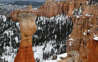 走進美國的國家公園