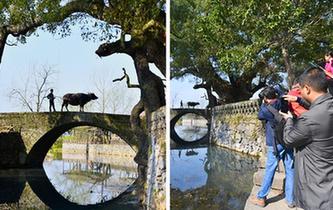 鄉村模特的&ldquo;畫裏畫外&rdquo;