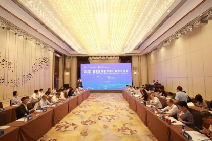 区域医疗中心：探索创新路径 赋能健康中国