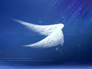 寄往天堂　写给救火英雄的一封信