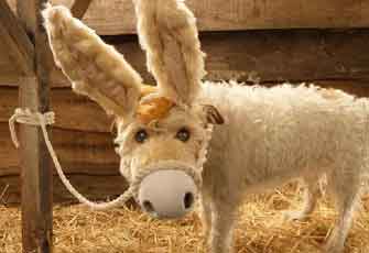 任性汪星人 生气哭不停