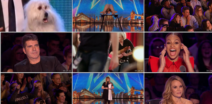 英国：小狗亮相达人秀 四语种&ldquo;对答如流&rdquo;