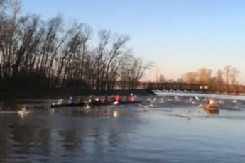 美国赛艇队训练遭亚洲鲤鱼&ldquo;攻击&rdquo;