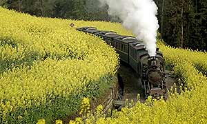 百部看四川：&ldquo;活&rdquo;在深山里的小火车