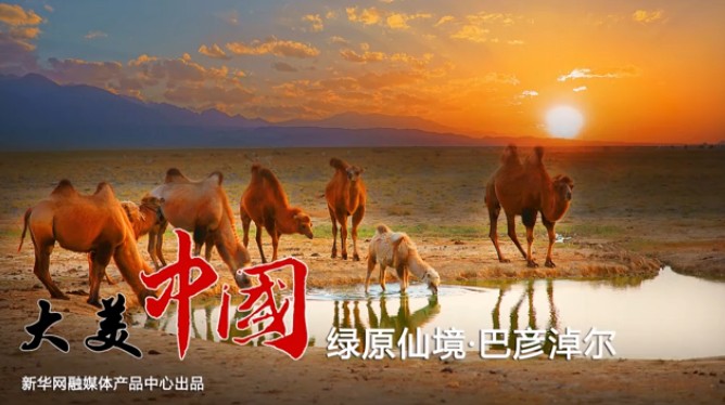 【新华图视】绿原仙境 巴彦淖尔