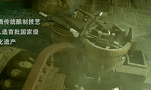 百部看四川：酒坊里长大的女子