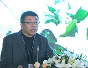 乌镇智库理事长张晓东:全球人工智能发展报告