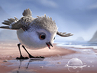 映前短片《鹬》不是一般的萌