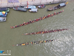 无人机航拍广州龙舟&ldquo;探亲&rdquo;