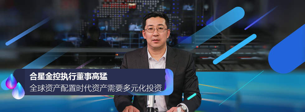 合星金控执行董事高猛：全球资产配置时代资产需要多元化投资