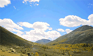 百部看四川：跑马山上的溜溜调