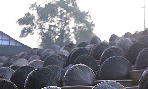 百部看四川：记忆中的味道