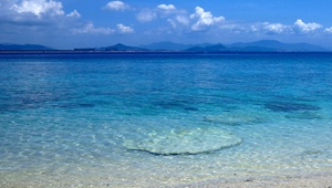 春節出遊 提早預定