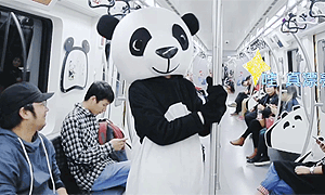 百部看四川：新年贺岁 盼达回家过年