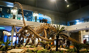 百部看四川：恐龙博物馆奇妙夜