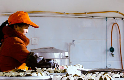 百部看四川：叶儿粑&mdash;&mdash;橘子叶中的甜与咸