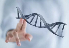 小细胞肺癌需要做基因检测吗？