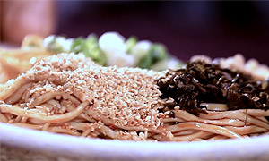 百部看四川：一碗点燃能点的面