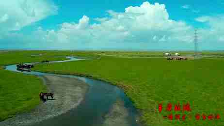 全国第二届平安中国微电影微视频《草原玫瑰》