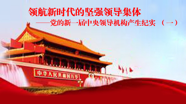 党的新一届中央领导机构产生纪实（一）
