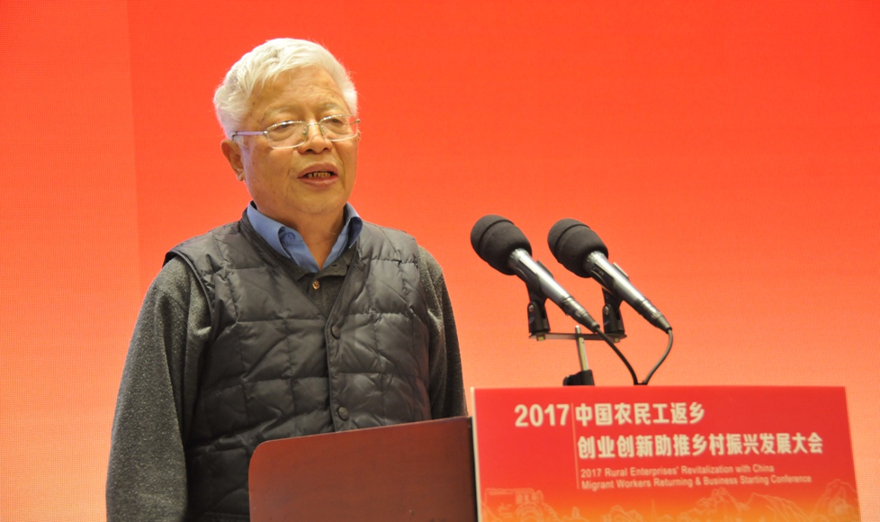 国务院发展研究中心研究员崔传义发言