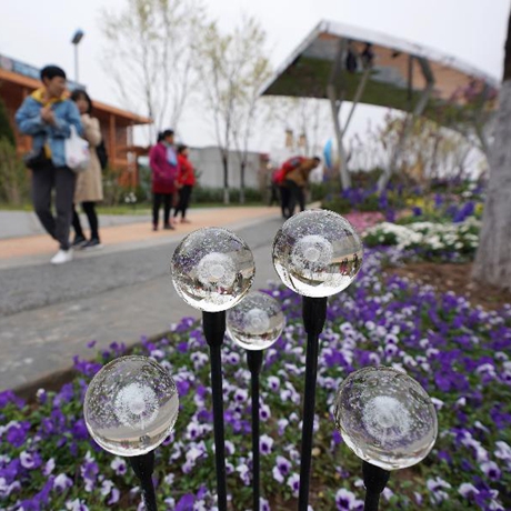 【画重点】真假？！北京又要办一场“奥林匹克”盛会