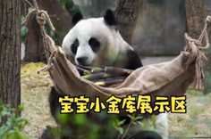 熊猫社区 坐拥小金库，吃相要讲究