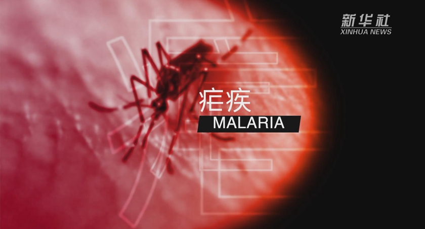 屠呦呦团队放&ldquo;大招&rdquo;：&ldquo;青蒿素抗药性&rdquo;等研究获新突破