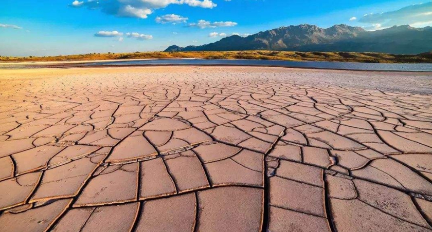 聚焦世界防治荒漠化和干旱日：技术创新 推进防沙治沙
