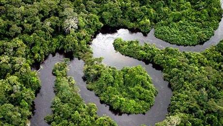 秘鲁拟巨额投资保护亚马孙雨林