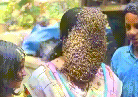 印度女子！數百蜜蜂爬臉