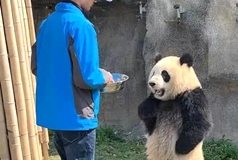 遭洗刷的一百种可能