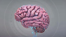 “脑洞大开” 人脑与电脑将“共生”？