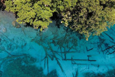 8月8日，一个过经过脉的日子