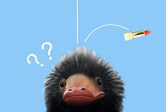 成都机场昼时上演“神奇动物在哪里”