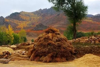 声音，是什么颜色的？