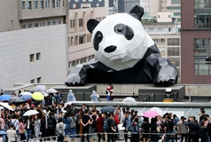 这个黄金周，成都很闹热