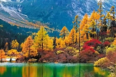 理县到底是哪个塌塌？