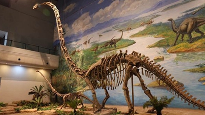 “双十一”自贡“恐龙”成全球爆品，洋盘！