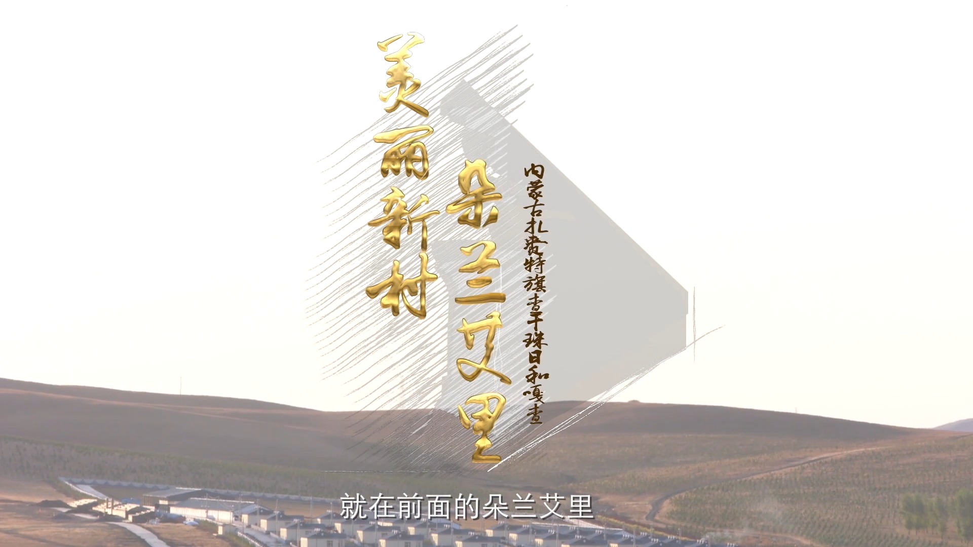 最受欢迎多肉排行榜_最受大学生欢迎“专业”排名,2022考生要提前了解,以免遗憾后悔