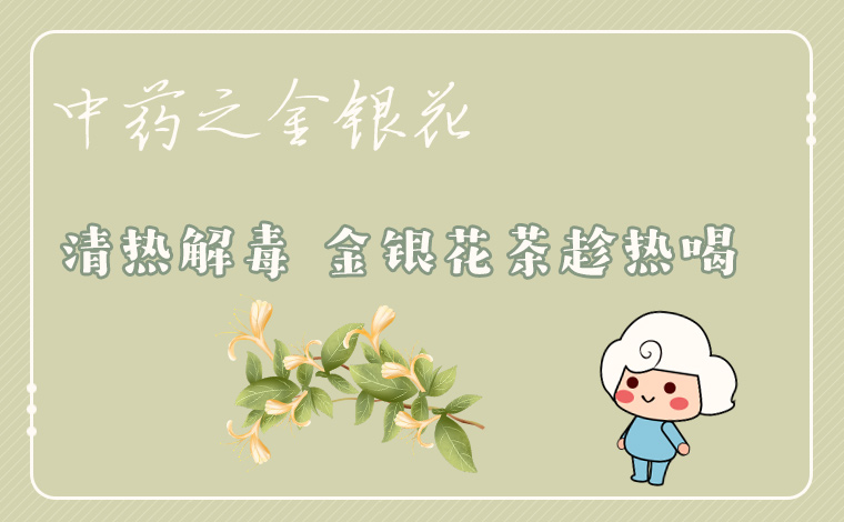 清熱解毒 金銀花茶趁熱喝