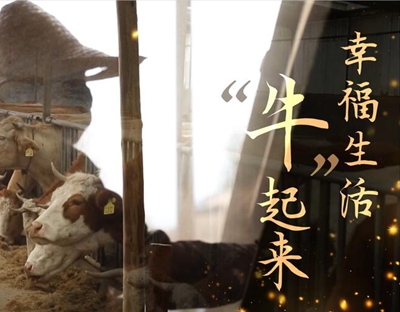 【脫貧印記】幸福生活&ldquo;牛&rdquo;起來