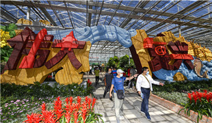 智慧農業有多牛？來長春農博會找答案