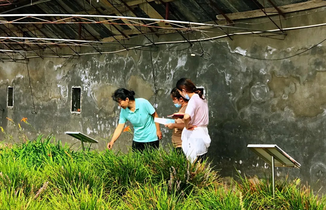 北京同仁堂股份：求索本草之源，矢志做好药