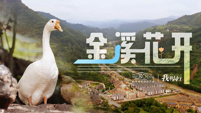 我的村庄丨金溪花开