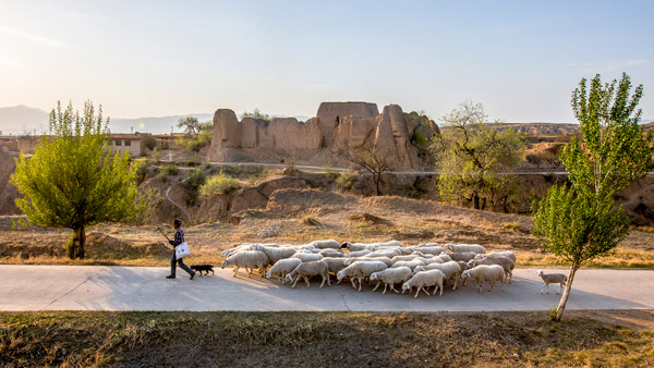 追梦足迹｜上马圈：铁马冰河，黄土斑驳