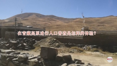 在青藏高原进行人口普查是怎样的体验？