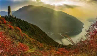 經濟新觀察|在重慶，三峽庫區長出&ldquo;美麗經濟&rdquo;