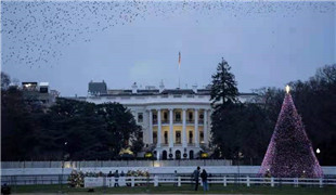 美國日增確診超20萬例 多國關注疫苗研發和使用