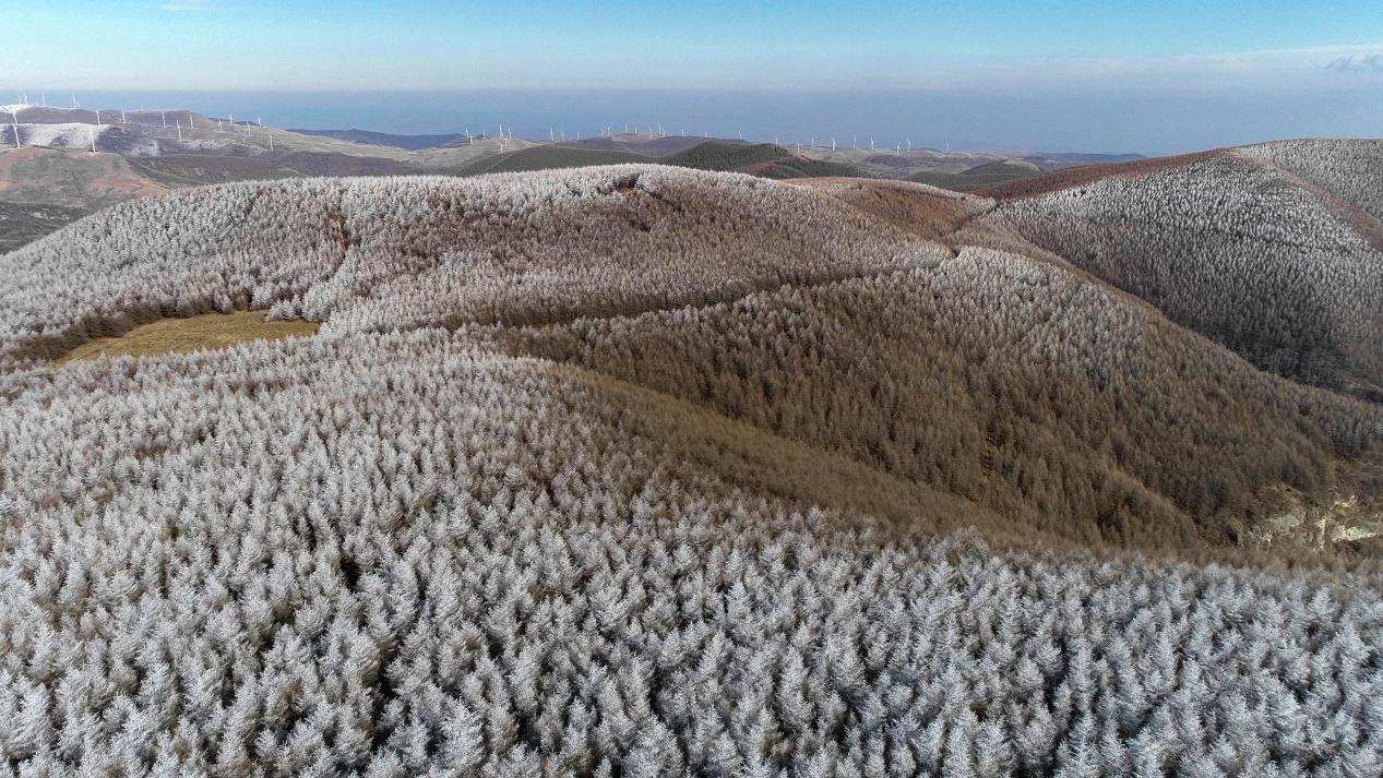 漫游太岳林海，探寻大自然的冬季&ldquo;礼物&rdquo;